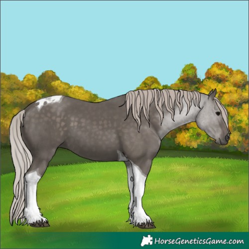 Horse Color:Silver Black Tobiano 