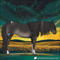 Horse Color:Smoky Black Tobiano 