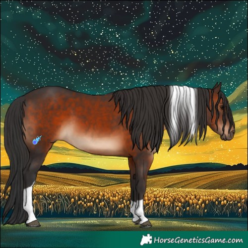 Horse Color:Brown Tobiano