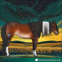 Horse Color:Brown Tobiano 
