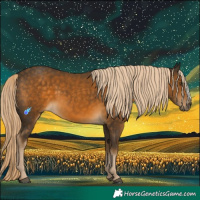 Horse Color:White Spotted Chocolate Palomino 