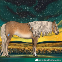 Horse Color:White Spotted Chocolate Palomino 