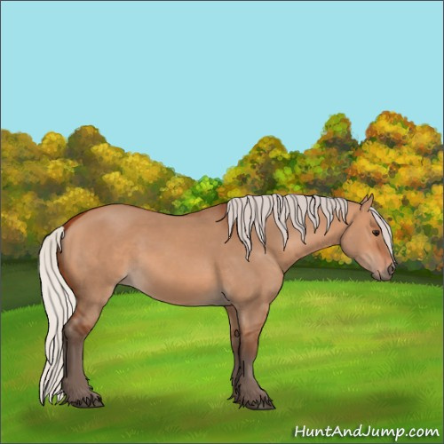 Horse Color:Silver Bay Dun 