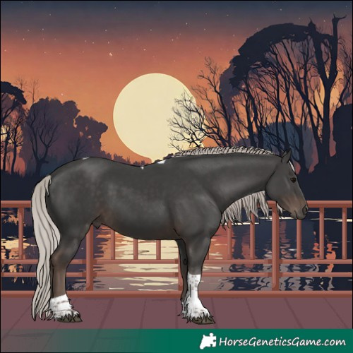 Horse Color:Silver Black Tobiano