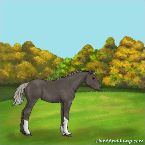 Horse Color:Silver Black Tobiano