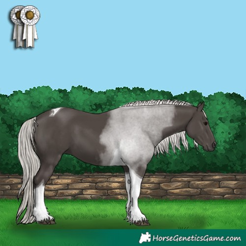 Horse Color:Silver Black Tobiano 