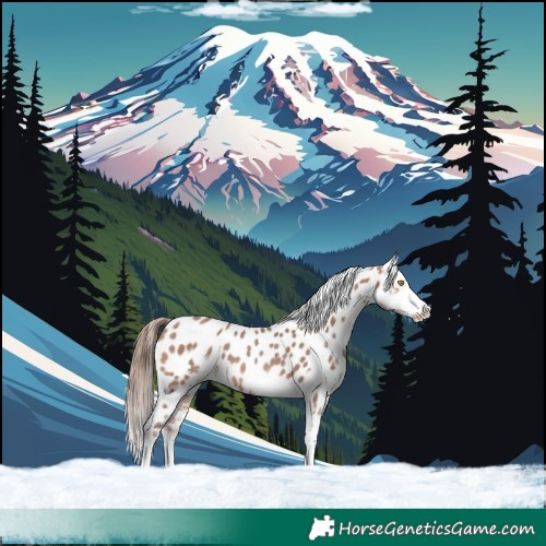 Horse Color:White Spotted Sable Champagne Appaloosa 