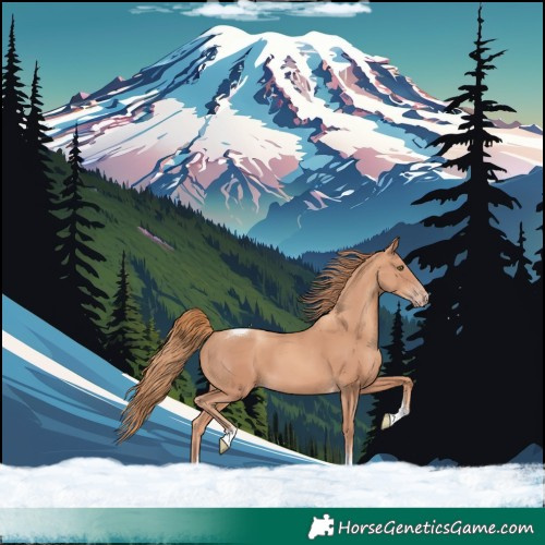 Horse Color:Gold Champagne Tobiano 