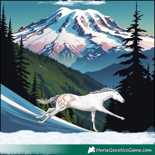 Horse Color:Gold Champagne Tobiano Appaloosa 