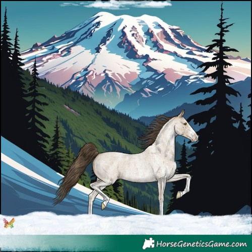Horse Color:White Spotted Classic Cream Champagne Roan 