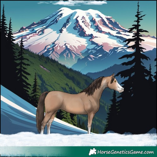 Horse Color:White Spotted Amber Champagne 