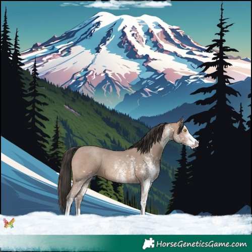 Horse Color:White Spotted Sable Champagne 