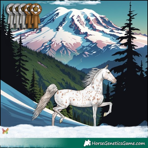 Horse Color:Gold Champagne Tobiano Appaloosa 