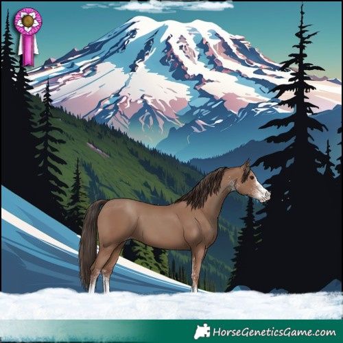 Horse Color:White Spotted Classic Champagne 