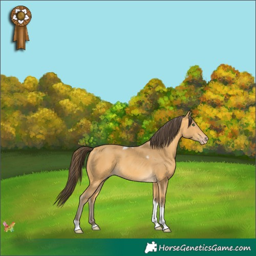 Horse Color:Amber Cream Champagne Tobiano 