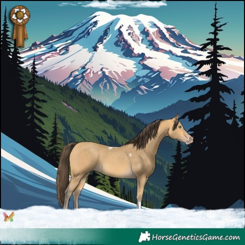 Horse Color:Amber Cream Champagne Tobiano 