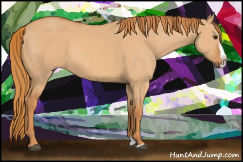Horse Color:Red Dun Splash 