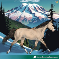 Horse Color:Bay Dun