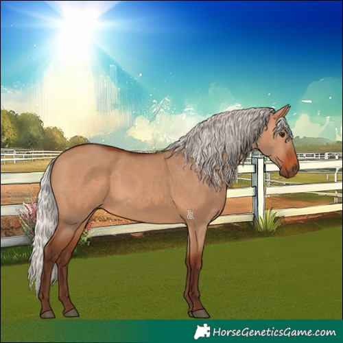 Horse Color:Silver Bay Dun