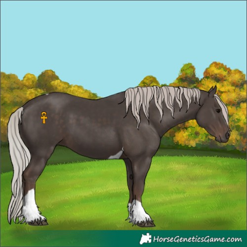 Horse Color:Silver Black Tobiano 