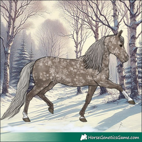 Horse Color:Silver Grullo Tobiano