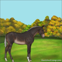 Horse Color:Silver Brown 