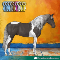 Horse Color:Silver Black Tobiano
