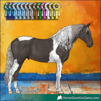 Horse Color:Silver Black Tobiano 