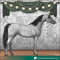 Horse Color:Blue Ice Roan  and Blue Ice Roan 