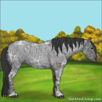 Horse Color:Blue Ice Roan  and Blue Ice Roan 