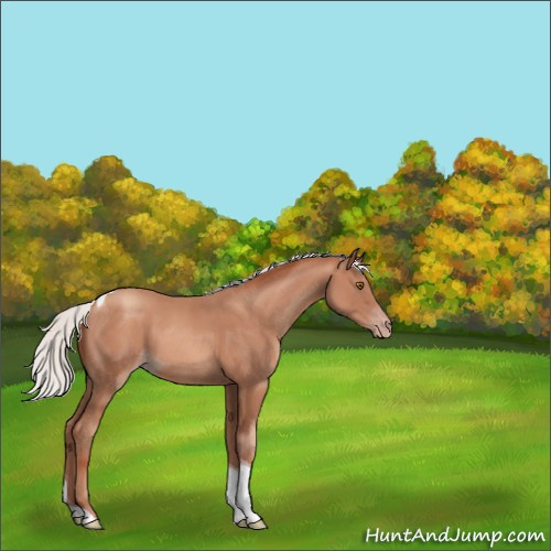 Horse Color:Silver Classic Champagne Tobiano 