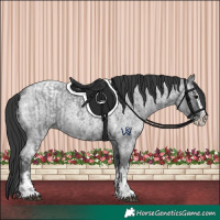 Horse Color:Blue Ice Roan  and Blue Ice Roan Splash 