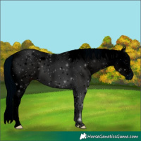 Horse Color:ERROR: UNKNOWN ANOMALY