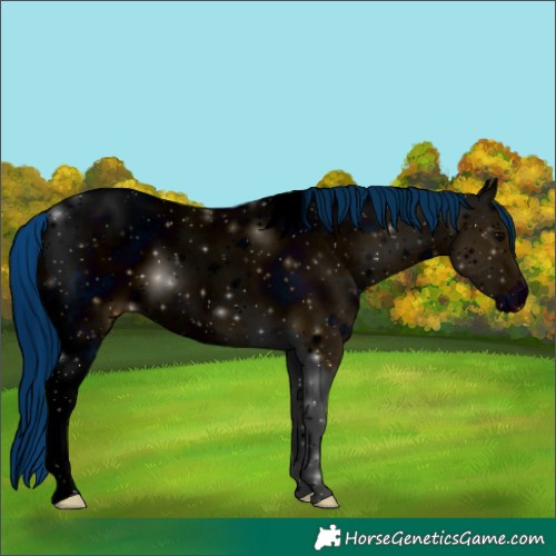 Horse Color:ERROR: UNKNOWN ANOMALY