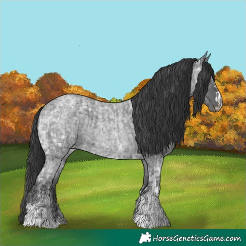 Horse Color:Blue Ice Roan  and Blue Ice Roan 