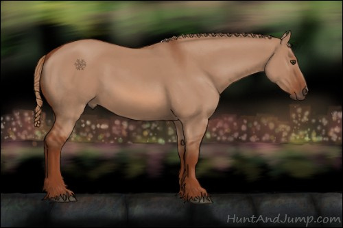 Horse Color:Red Dun 