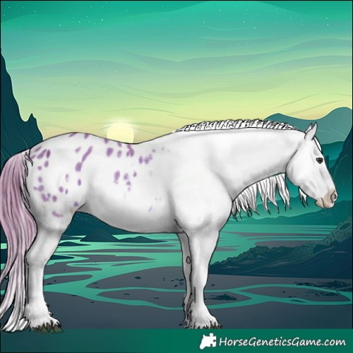 Horse Color:Watercolor Chestnut Ice Appaloosa 