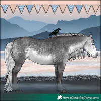 Horse Color:Silver Buckskin Chinchilla Rabicano