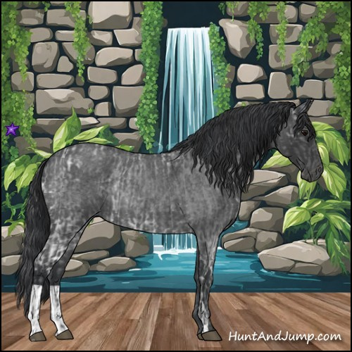 Horse Color:Blue Ice Roan and Blue Roan