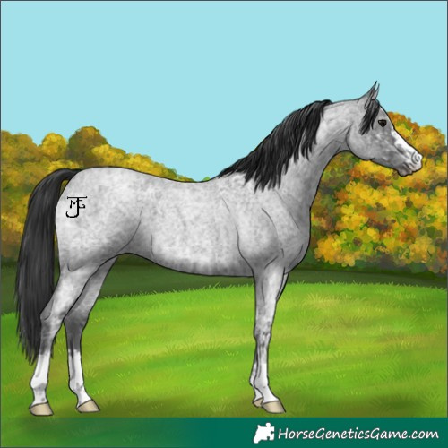 Horse Color:Blue Ice Roan  and Blue Ice Roan 