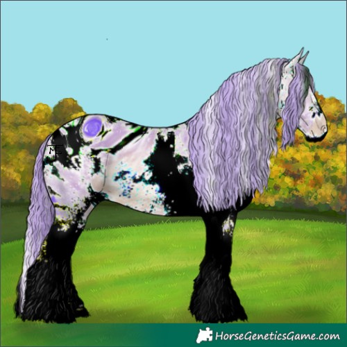 Horse Color:ERROR: UNKNOWN ANOMALY