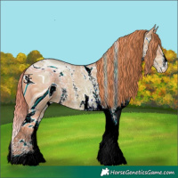 Horse Color:ERROR: UNKNOWN ANOMALY