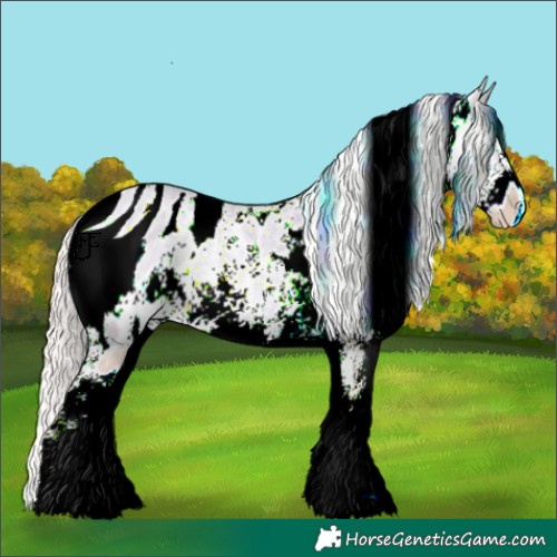 Horse Color:ERROR: UNKNOWN ANOMALY