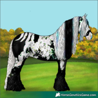 Horse Color:ERROR: UNKNOWN ANOMALY