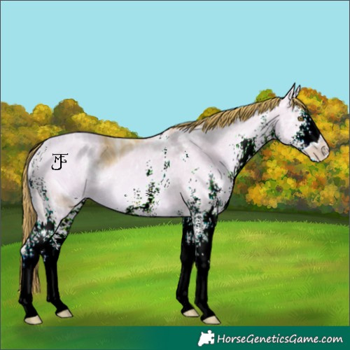 Horse Color:ERROR: UNKNOWN ANOMALY