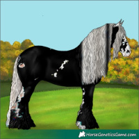 Horse Color:ERROR: UNKNOWN ANOMALY