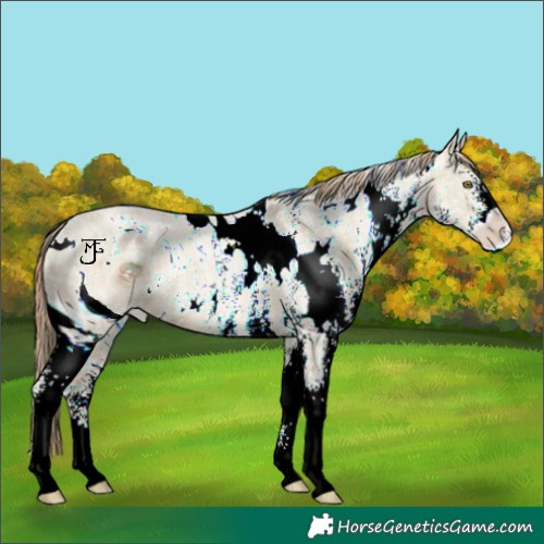 Horse Color:ERROR: UNKNOWN ANOMALY
