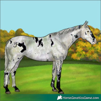 Horse Color:ERROR: UNKNOWN ANOMALY