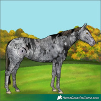 Horse Color:ERROR: UNKNOWN ANOMALY
