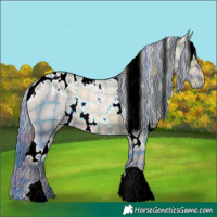 Horse Color:ERROR: UNKNOWN ANOMALY